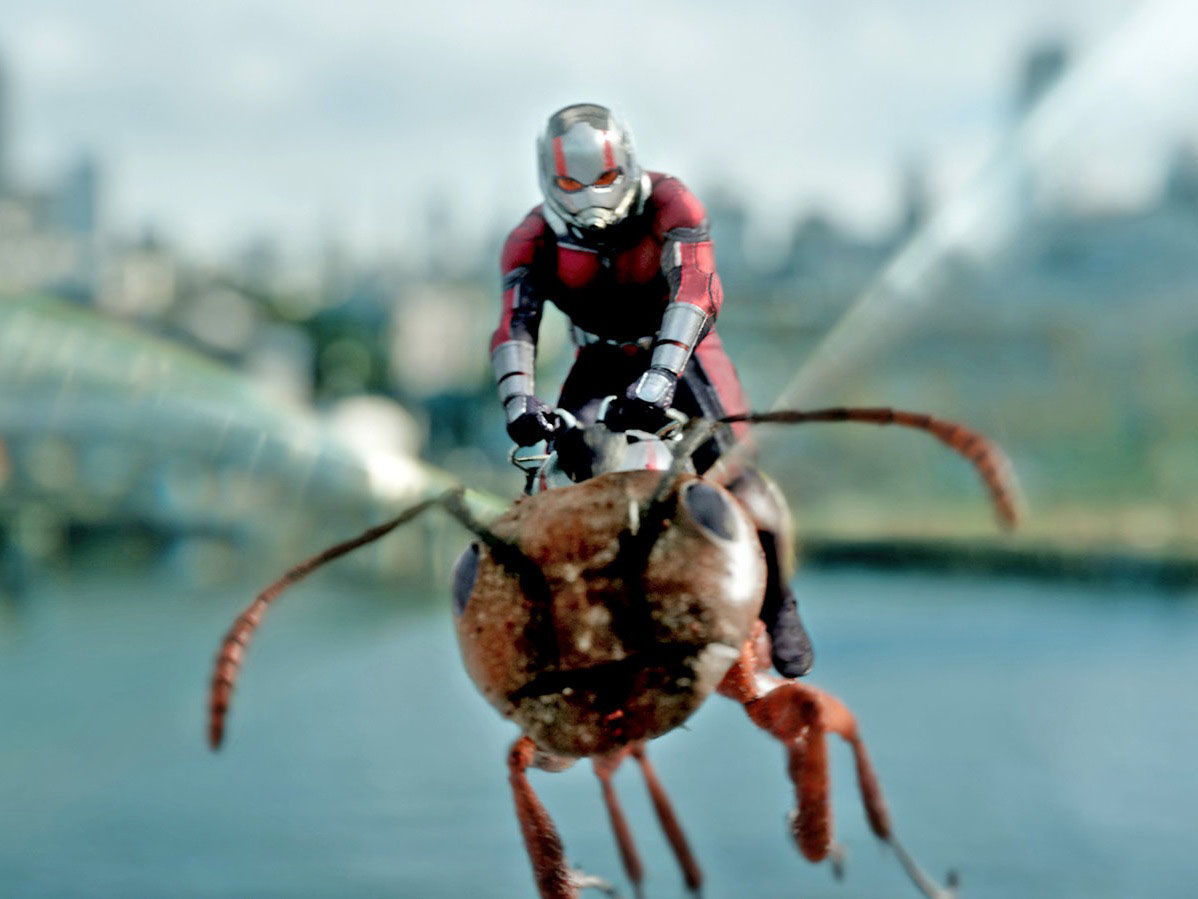 Ant-Man is the name of several fictional superheroes appearing in books published by Marvel Comics. Created by Stan Lee, Larry Lieber and Jack Kirby, ...